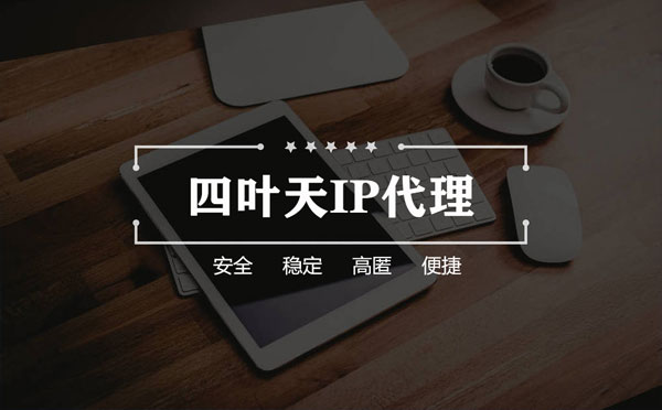 【三河代理IP】如何快速搭建代理IP？怎么检查代理的效果？